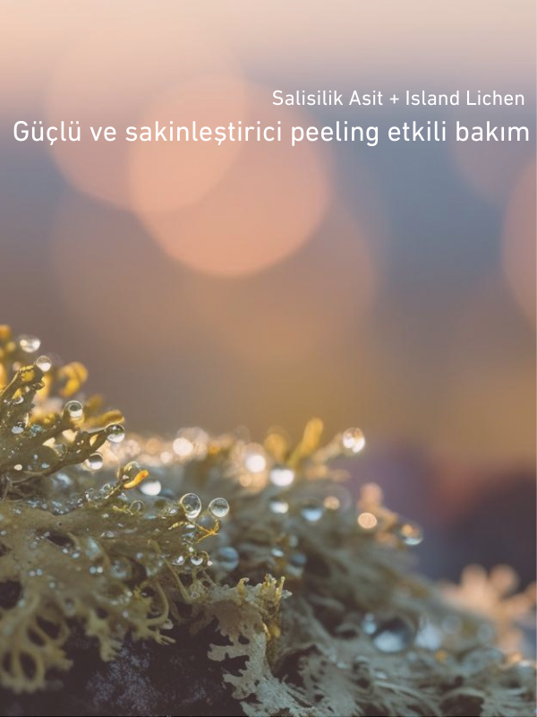 The Nordea SALICYLIC ACID 2% + ISLAND LICHEN CLEANSER