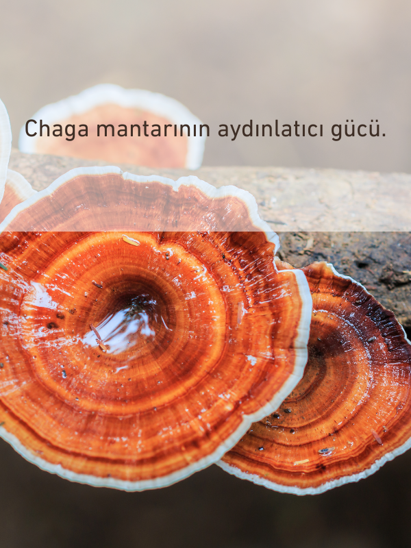 Pigmentia Göz Çevresi Bakım Kremi